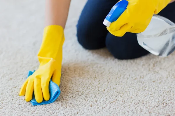 carpet-cleaning